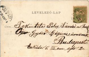 1905 Balatonboglár, Istenhozott villa, nyaralók. Faragó Sándor kiadása (EK)