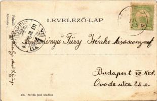 1906 Balatonaliga, Balaton-Aliga (Balatonvilágos); Terézia lak, villa. Novák Jenő kiadása (EK)