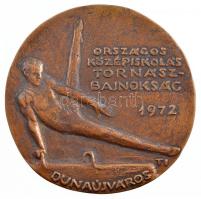 1972. "Országos Középiskolás Tornászbajnokság 1972 Dunaújváros" egyoldalas Br emlékplakett...