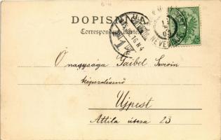 1905 Sarajevo, Marienhof Restauration / restaurant. montage + "K.u.k. Milit. Post Nevesinje&quo...