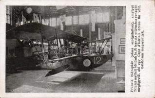 French hydroplane in italian duty