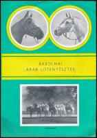 cca 1960-1970 Bábolnai arab lótenyésztés, ismertető prospektus, fekete-fehér képekkel, 4 p.