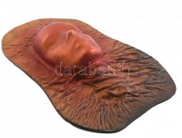 Zajácz Tamás (1952- ): Múzsa. Bőrkép alján kis kopással. Falra akasztható. Hátoldalán jelzett, bélye...