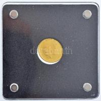 Niue 2019. 2$ 50c Au "Vitruviai ember" (0,5g/0.999) fa dísztokban T:PP
Niue 2019. 2 Dolla...