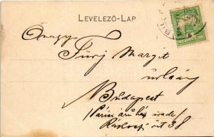 1909 Billéd, Biled; Római katolikus templom / Catholic church (fl)