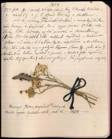 1914 Laudon István (1862-1924) ungvári tanár, botanikus kézzel írott naplórészlete néhány oldal, szá...