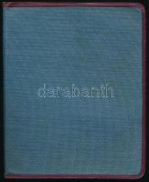 1914 Laudon István (1862-1924) ungvári tanár, botanikus kézzel írott naplórészlete néhány oldal, szá...