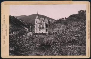 cca 1890 Herkulesfürdő, Erdély. Villa Lívia. Keményhátú kabinetfotó Klösz György. 16x11 cm