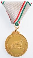 DN Magyar Politikai Foglyok Szövetsége 1956 / Tisztelet a hagyomány őrzéséért aranyozott bronz medál, mellszalagon, karton dísztokban (35mm) T:PP fo.