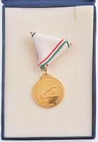 DN "Magyar Politikai Foglyok Szövetsége 1956 / Tisztelet a hagyomány őrzéséért" aranyozott...