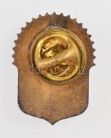 DN "A magyarok istenére esküszünk" a magyar címert és a turulmadarat ábrázoló zománcozott ...