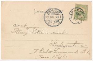 1902 Nagyszőlős, Nagyszőllős, Vynohradiv (Vinohragyiv), Sevljus, Sevlus; Szőlőhegyi villák / vineyar...