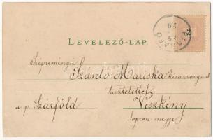 1899 (Vorläufer) Pinkafő, Pinkafeld; Hotel Lehner, Herrsch. Schloss Parkansicht, Kath. Volksschule /...