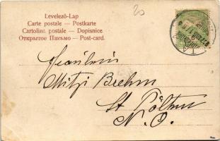 1907 Erdélyi román juhász. D.T.C.L. Serie 301. 12. / Rumänischer Hirte aus Siebenbürgen / Romanian s...