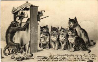 1903 Monkeys puppet show for cats. Emb. litho (apró lyuk / tiny pinhole)