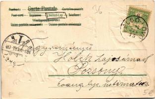 1903 Monkey's puppet show for cats. Emb. litho (apró lyuk / tiny pinhole)