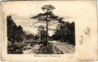 1903 Blatnica vára (Turóc). Sochán P. 31. sz. / Blatnicky hrad / castle (r)