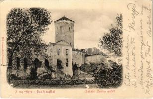 1907 Zsolna, Sillein, Zilina; Budatin vár Zsolna mellett. Gansel Lipót 128. / Budatínsky hrad / castle (szakadás / tear)