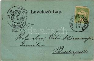 1902 Trencsénteplic, Trencianske Teplice; látkép. Wertheim Zsigmond kiadása / general view (EK)