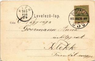 1905 Budakeszi, Fő utca, üzlet (EM)