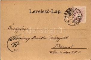 1899 (Vorläufer) Magyaróvár, Mosonmagyaróvár; Deák tér, templom. Art Nouveau, floral (fa)