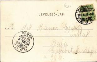 1905 Esztergom, látkép, Bazilika. Kardos Dezső kiadása (EK)