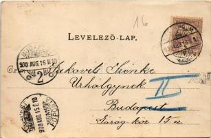 1900 Esztergom, látkép, Bazilika. Kardos Dezső kiadása (EK)