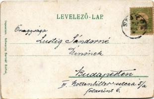 1903 Siófok, Hajókikötő, gőzhajó. Schwarcz Bernát kiadása. Art Nouveau, litho (kopott sarkak / worn ...