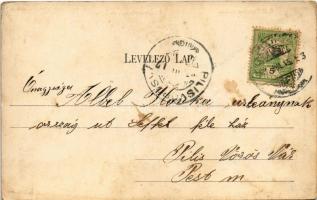 1907 Keszthely, Gróf Festetics szobor, Fő utca, Pályaudvar, vasútállomás, Irgalmas nővérek zárdája, ...