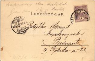 1900 Keszthely, Gróf Festetics kastély. Vasvári József kiadása