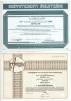 6xklf vegyes részvény és sorsjegy, benne Budapest 1886. "Egyházi Műemlék Alap" sorsjegyköl...