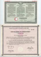 6xklf vegyes részvény és sorsjegy, benne Budapest 1886. "Egyházi Műemlék Alap" sorsjegyköl...