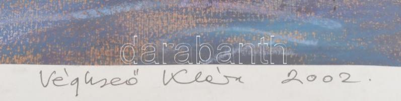 Véghseő Klára (1953-): Tengeri emlék. Vegyes technika, papír. Plexiüvegezett fakeretben. 28×47 cm