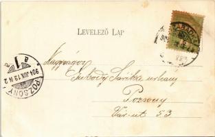 1904 Szabadka, Subotica; Izraelita templom, zsinagóga. Wilhelm Samu kiadása / synagogue (EK)