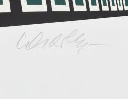 Vasarely Victor (1908-1997): Vega 5. Szitanyomat, papír, jelzett, számozott (47/110). Az 1985-ben a ...