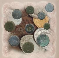 1998. 50f-200Ft (10xklf) forgalmi sor dísztokban + 1998. 100Ft alpakka "1848-1849. Szabadsághar...