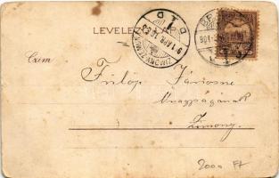 1901 Száz csacsi (pardon) legény egy sorban... humoros litho művészlap / Men humour, litho s: Hegedű...