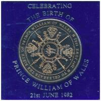 Nagy-Britannia 1982. Vilmos herceg születése / A walesi hercegné 21. születésnapja Cu-Ni emlékérem eredeti plasztik dísztokban T:1 Great Britain 1982. The birth of Prince William of Wales / H.R.H. The Princess of Wales 21st birthday Cu-Ni medalllion in original plastic hardcase C:UNC