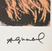 Andy Warhol (1928-1987): Debbie Harry (Blondie). Ofszet-litográfia, papír, jelzett a nyomaton. Kézze...