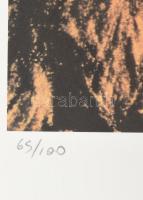 Andy Warhol (1928-1987): Debbie Harry (Blondie). Ofszet-litográfia, papír, jelzett a nyomaton. Kézze...