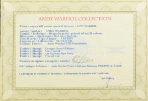 Andy Warhol (1928-1987): Debbie Harry (Blondie). Ofszet-litográfia, papír, jelzett a nyomaton. Kézze...