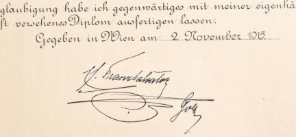 1916 Osztrák Vöröskereszt Díszjelvény II. osztályát, hadi ékítménnyel, adományozó oklevél, Paul Niki...