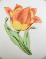 Herendi virágmintás bonbonier. Kézzel festett, jelzett, hibátlan. D: 11,5 cm