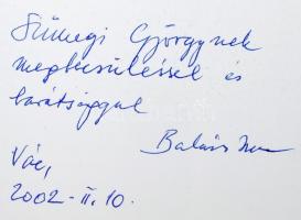 Banner Zoltán: Balázs Imre. A művész, Balázs Imre (1931-2012) által Sümegi György (1947-) művészettö...
