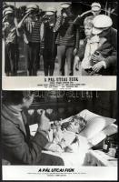 1968 ,,A Pál utcai fiúk" című magyar - amerikai film jelenetei és szereplői, 13 db vintage prod...