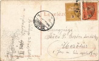 1908 Máriaradna, Radna (Lippa, Lipova); Solymos vár romjai. W.L. (?) 3015. Csauscher József kiadása ...