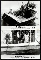 1975 Steven Spielberg: ,,A cápa című amerikai horror film jelenetei és szereplői, 8 db vintage produkciós filmfotó, ezüst zselatinos fotópapíron, 18x24 cm