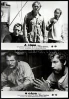 1975 Steven Spielberg: ,,A cápa" című amerikai horror film jelenetei és szereplői, 8 db vintage...