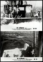 1975 Steven Spielberg: ,,A cápa" című amerikai horror film jelenetei és szereplői, 8 db vintage...