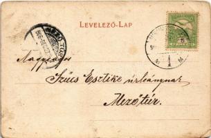 1906 Máramarossziget, Sighetu Marmatiei; látkép madártávlatból. Berger Miksa kiadása / general view ...